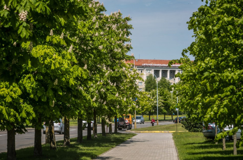 Geresnei želdinių apsaugai – įstatymų pakeitimai