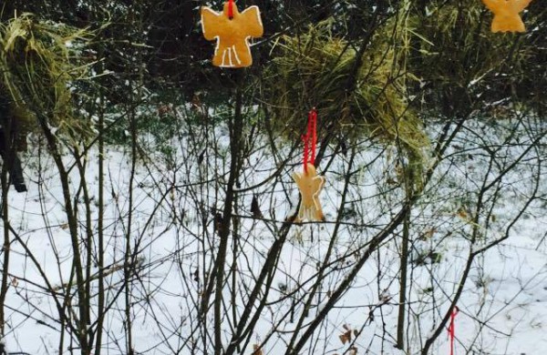 Prieš Naujuosius metus maisto nuvežė ir miško žvėrims