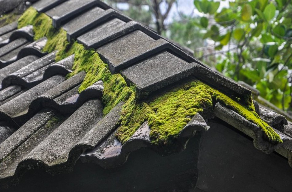 Asbesto keliamas pavojus žmonių sveikatai: ką reikia žinoti