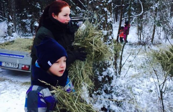 Prieš Naujuosius metus maisto nuvežė ir miško žvėrims