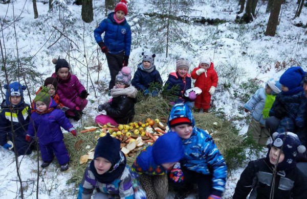 Prieš Naujuosius metus maisto nuvežė ir miško žvėrims