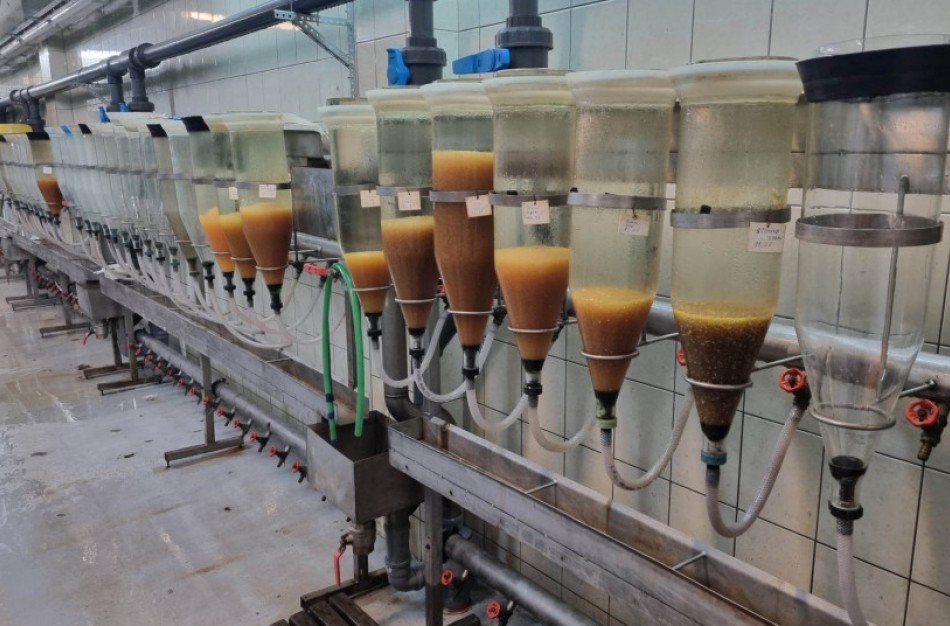 Ruošiamasi Lietuvos vandens telkinius praturtinti Vištyčio ežero sykais