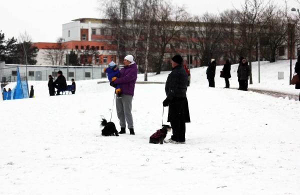 Pirmąją 2016 metų dieną Joninių slėnyje pramogavo ir vaikai, ir suaugusieji