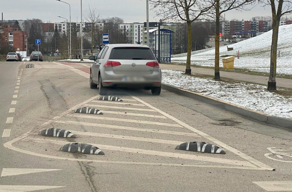 Žemaitės gatvės gyventojas: kur nori, ten stato