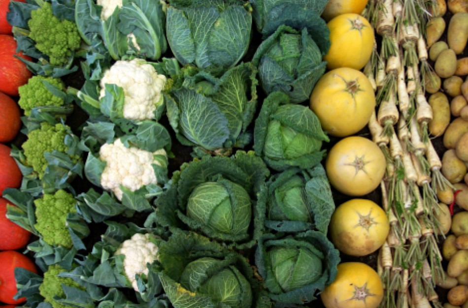 Ar galima valgant daržoves užsikrėsti salmonelioze?