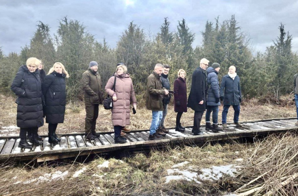 Atsigauna unikalūs Lietuvos kadagynai: Kadagių slėnyje atnaujintas pažintinis takas, Šauklių riedulyne bus didinama muflonų banda