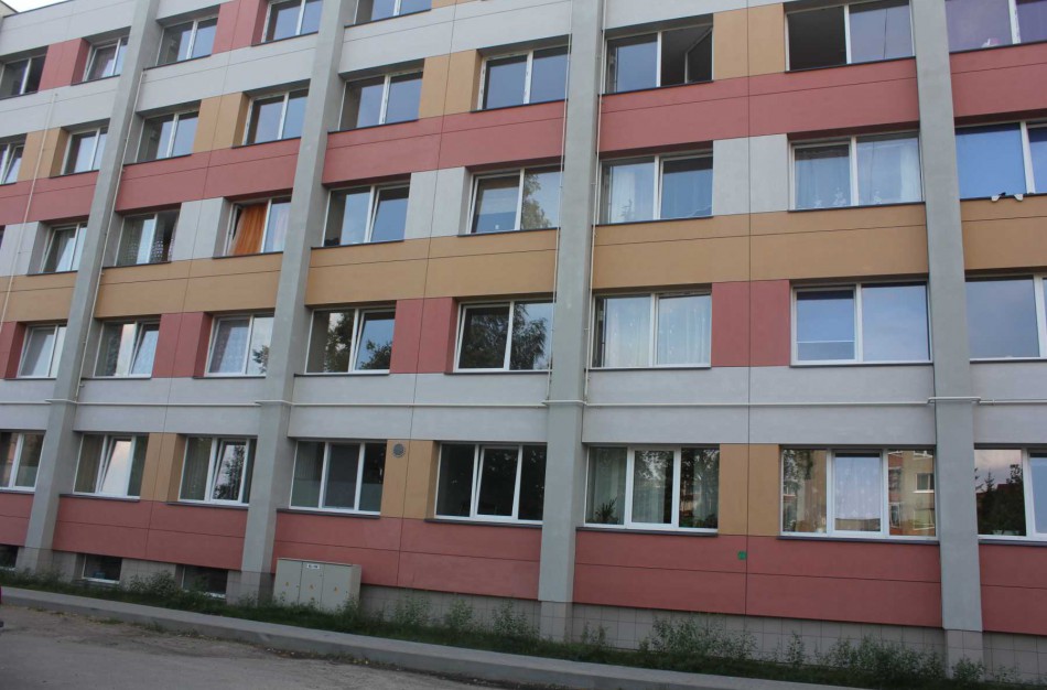 Dariaus ir Girėno gatvės 1a name valytojai tenka kuopti ir išmatas