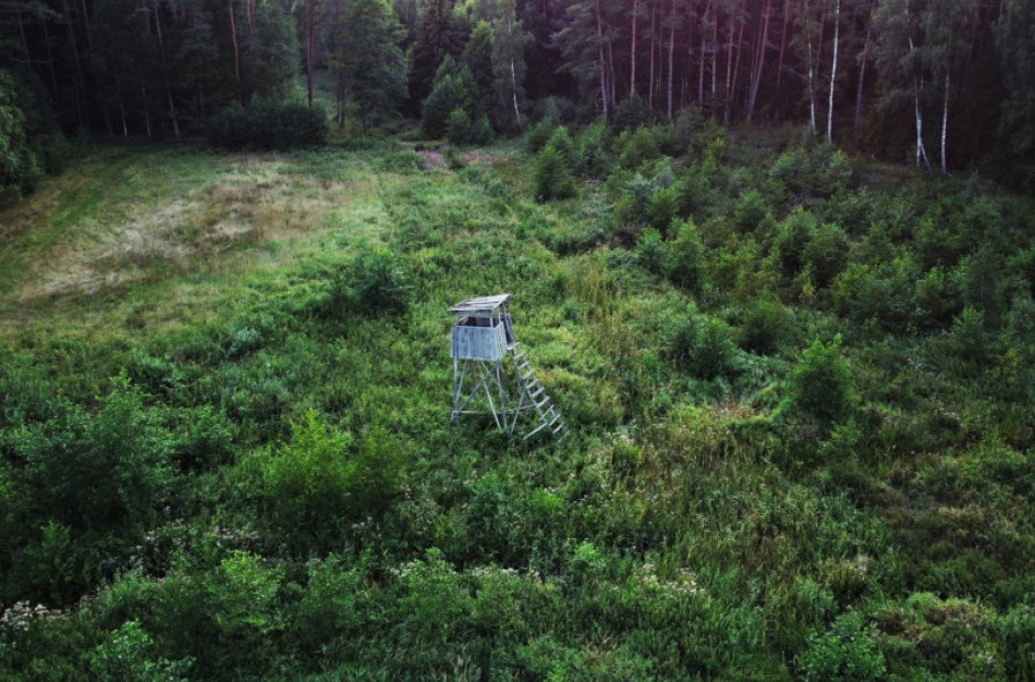 Švininiais šratais uždrausta medžioti ir juos nešiotis šlapžemėse ar aplink jas