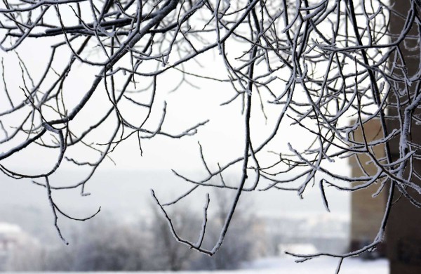 Žiema: be balų ir lyjančio lietaus (nuotraukos)