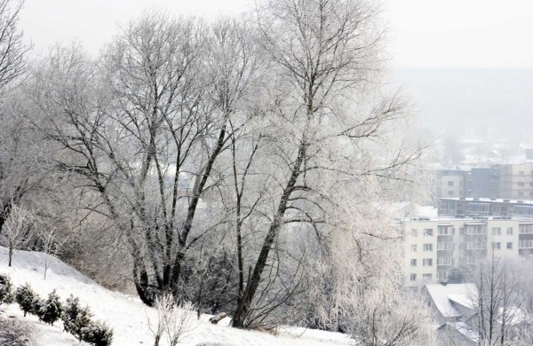 Žiema: be balų ir lyjančio lietaus (nuotraukos)