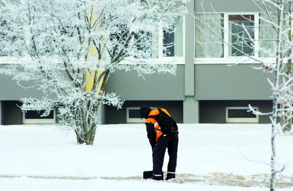 Žiema: be balų ir lyjančio lietaus (nuotraukos)