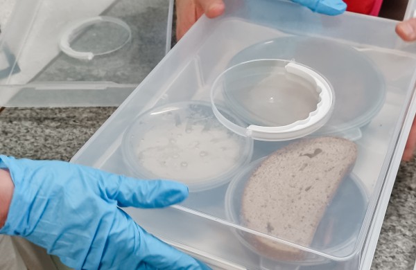 VšĮ ,,Jonavos ligoninės" Maisto paruošimo skyriuje pradėtas maisto tiekimas individualiuose padėkluose