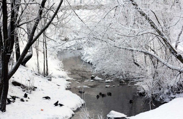 Žiema: be balų ir lyjančio lietaus (nuotraukos)