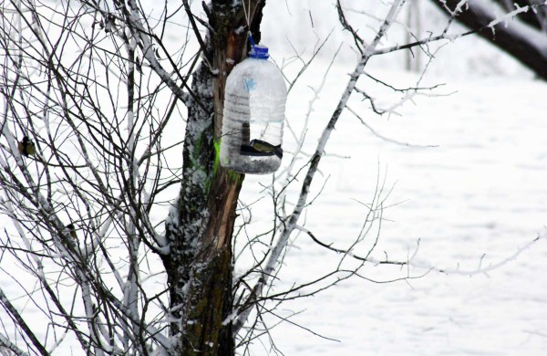 Žiema: be balų ir lyjančio lietaus (nuotraukos)