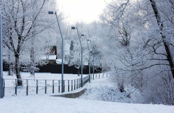 Žiema: be balų ir lyjančio lietaus (nuotraukos)