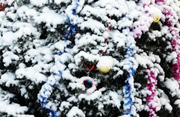 Žiema: be balų ir lyjančio lietaus (nuotraukos)