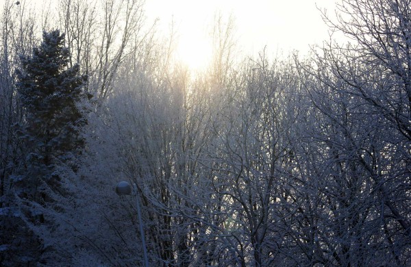 Žiema: be balų ir lyjančio lietaus (nuotraukos)