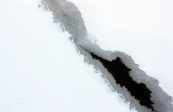 Žiema: be balų ir lyjančio lietaus (nuotraukos)