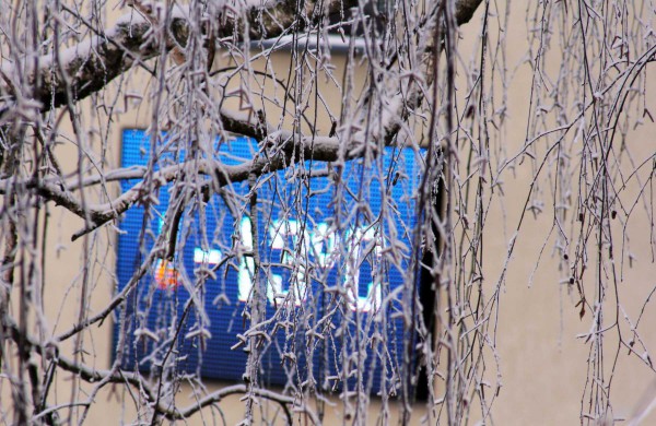 Žiema: be balų ir lyjančio lietaus (nuotraukos)