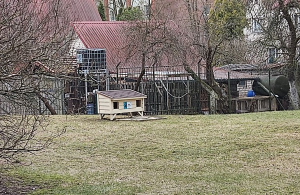 Jonavoje – pirmieji kačių nameliai