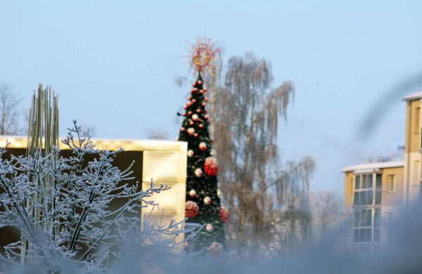 Žiema: be balų ir lyjančio lietaus (nuotraukos)