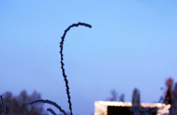 Žiema: be balų ir lyjančio lietaus (nuotraukos)