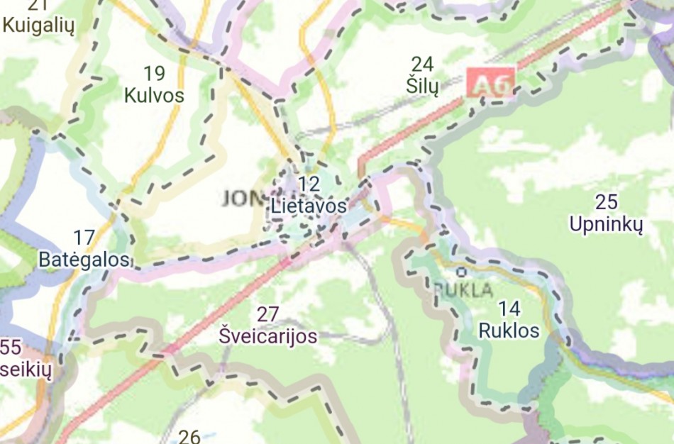 VRK sukūrė specialų rinkimų žemėlapį, padėsiantį surasti rinkimų apylinkę