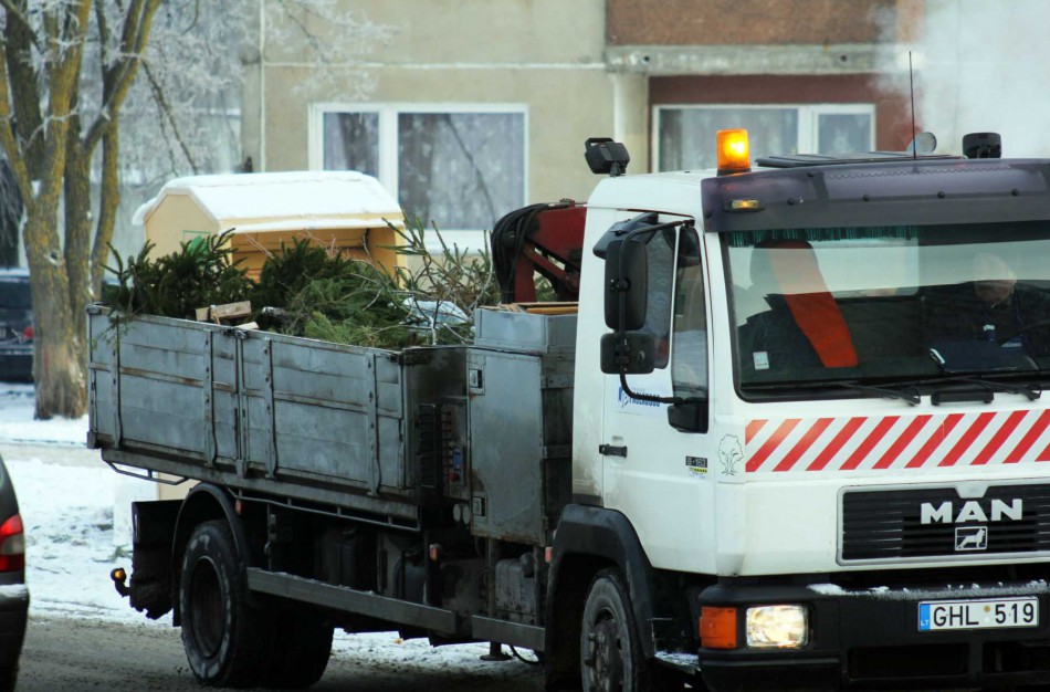 Šeštadienį – eglių surinkimo akcija, jas galima palikti ir prie konteinerių