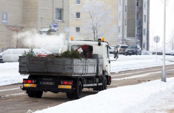 Šeštadienį – eglių surinkimo akcija, jas galima palikti ir prie konteinerių