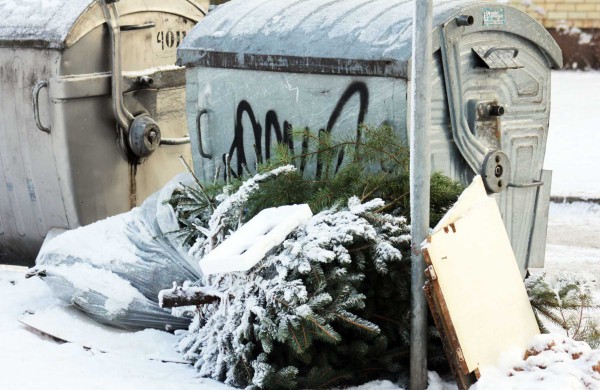 Šeštadienį – eglių surinkimo akcija, jas galima palikti ir prie konteinerių