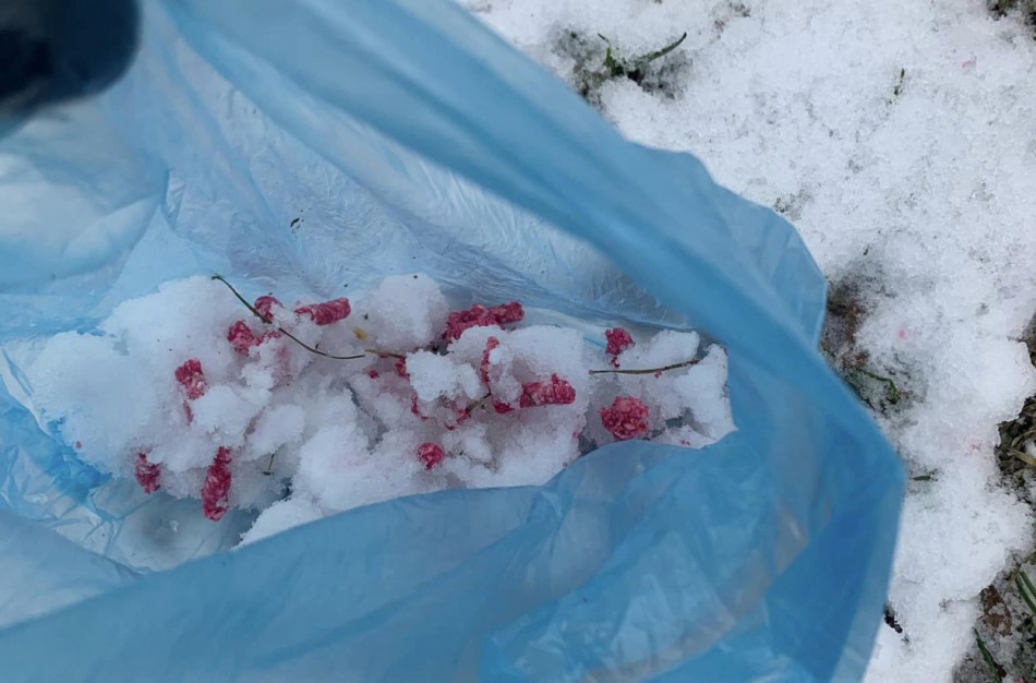 Perspėja: Jonavoje vėl įtarimai apie bandymus nuodyti keturkojus