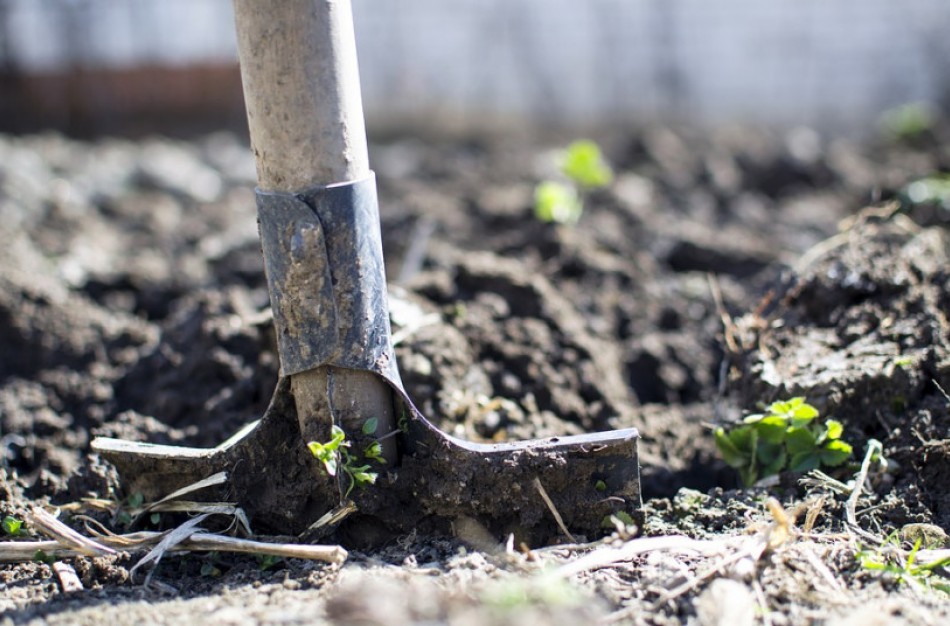 NVSC: Nuo dirvožemyje slypinčios pavojingos ligos apsaugo skiepai