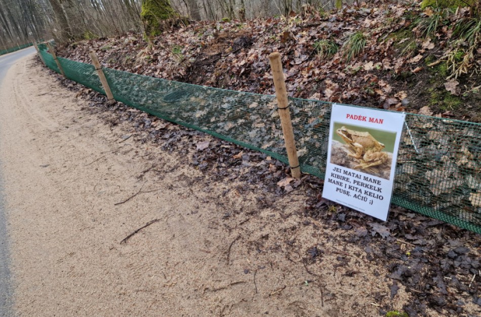 Varliagyviai keliauja į nerštavietes