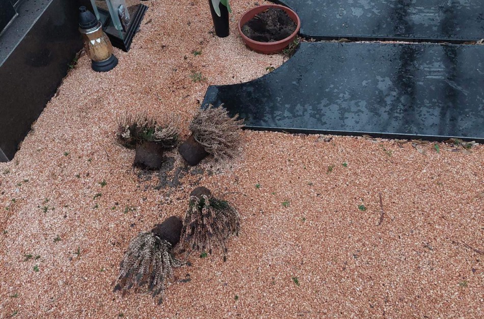 Į kapines įsisuko vandalai? Ieško žmonių, turinčių naudingos informacijos