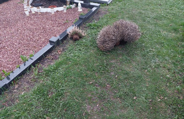 Į kapines įsisuko vandalai? Ieško žmonių, turinčių naudingos informacijos