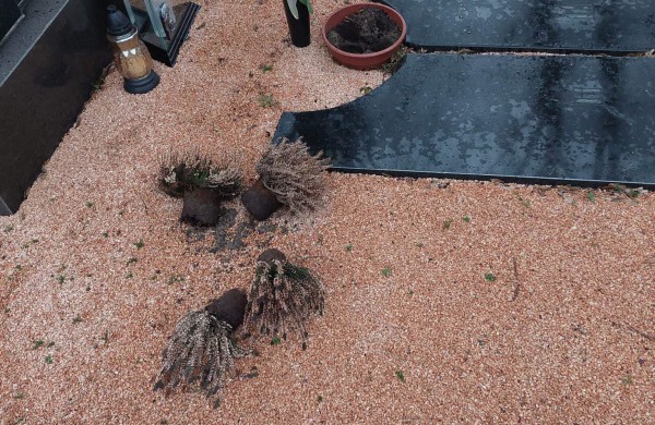 Į kapines įsisuko vandalai? Ieško žmonių, turinčių naudingos informacijos