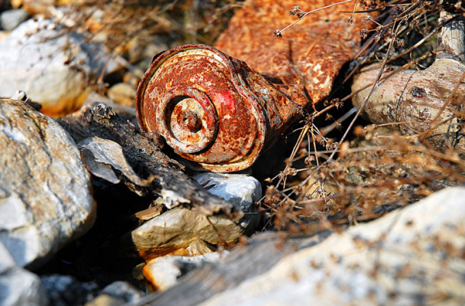 Griežtinama atsakomybė už aplinkai padarytą žalą