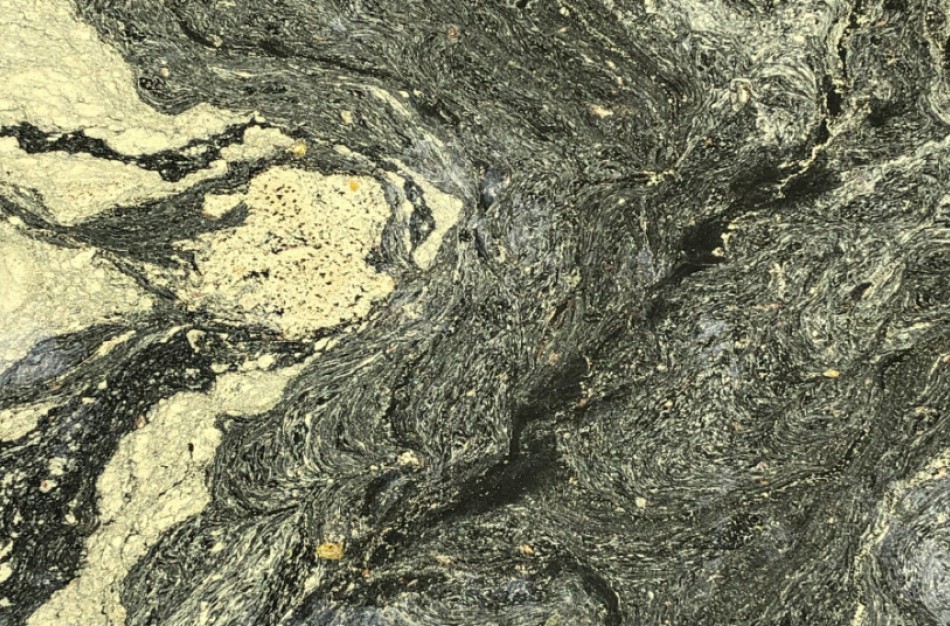 Žiedadulkės gali pakeisti vandens telkinių spalvą ir skaidrumą