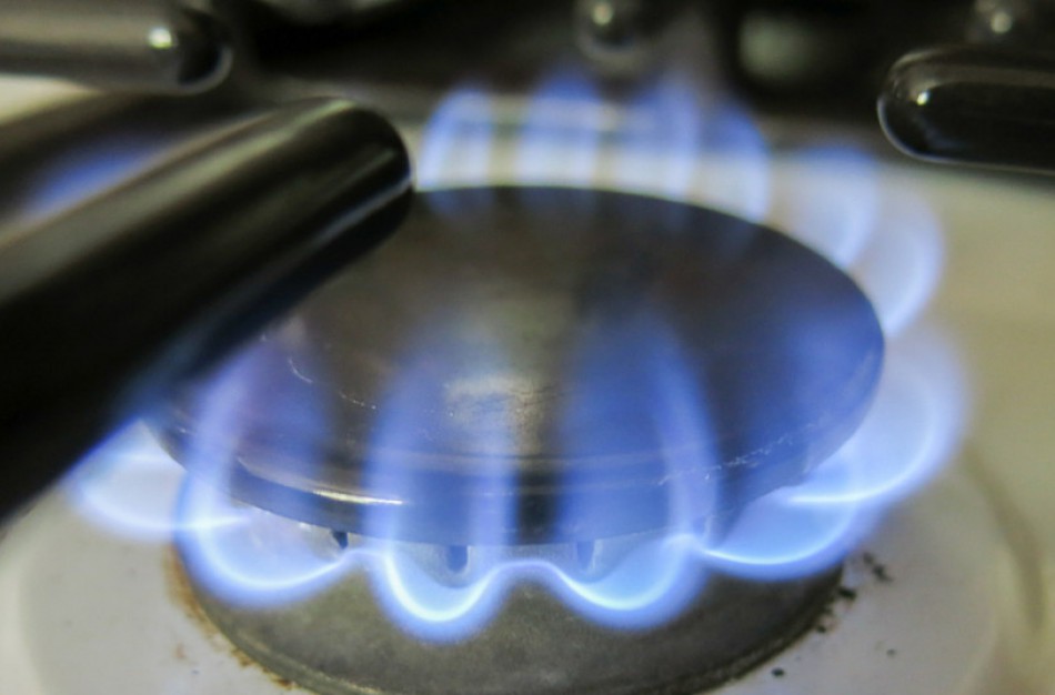 Kompensacijos dujoms išliks iki šių metų pabaigos