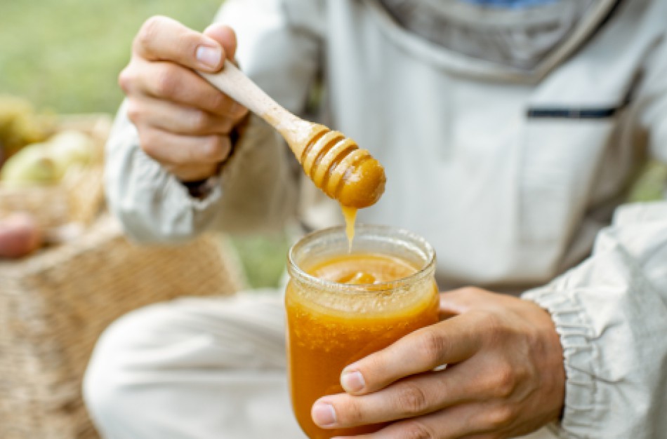 Klausiate – atsako: ar medaus mišinys yra lygiavertis medui?