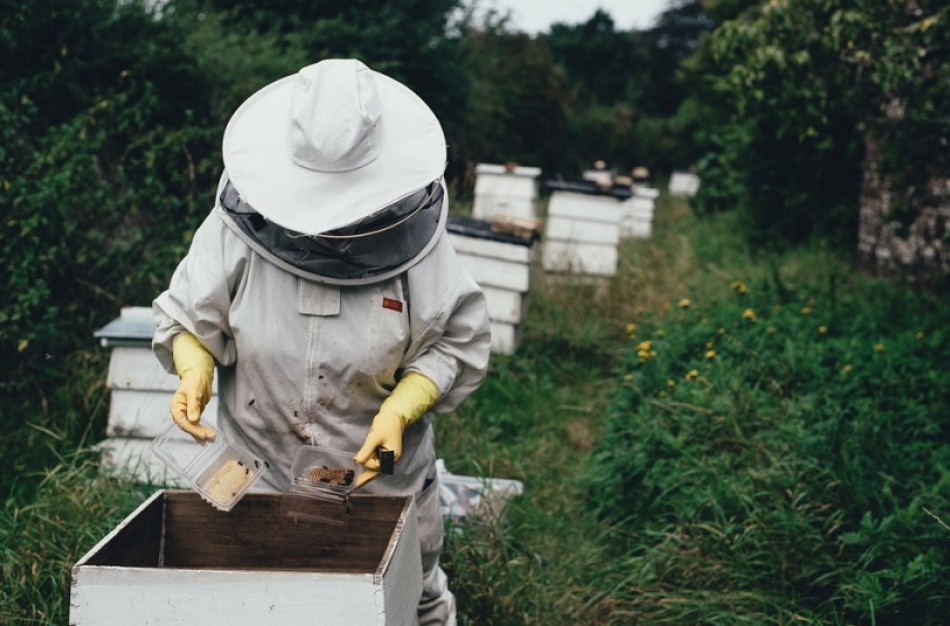 Bitininkams – papildoma galimybė teikti paraiškas