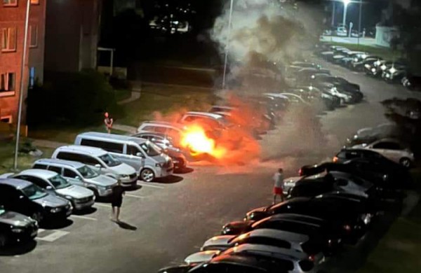 Kulviečiuose - tarnybų sujudimas: pradėtas ikiteisminis tyrimas pagal BK