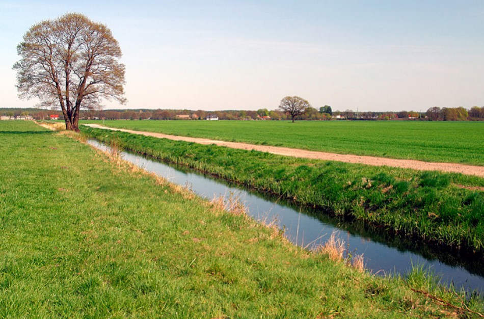 Prižiūrintiems melioracijos griovių šlaitus – tris kartus didesnės kompensacijos