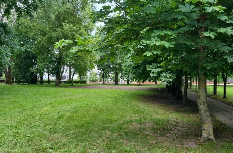 Skaitytoja Eglė: ,,Kur dingsta vaikų žaidimų aikštelės Jonavoje?“