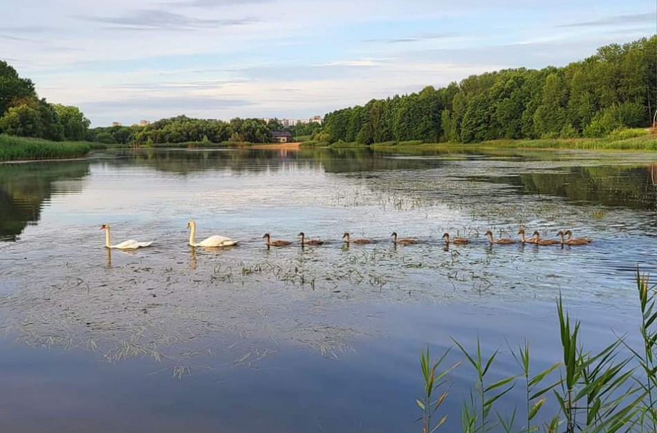 Ką veikti savaitgalį Jonavoje?