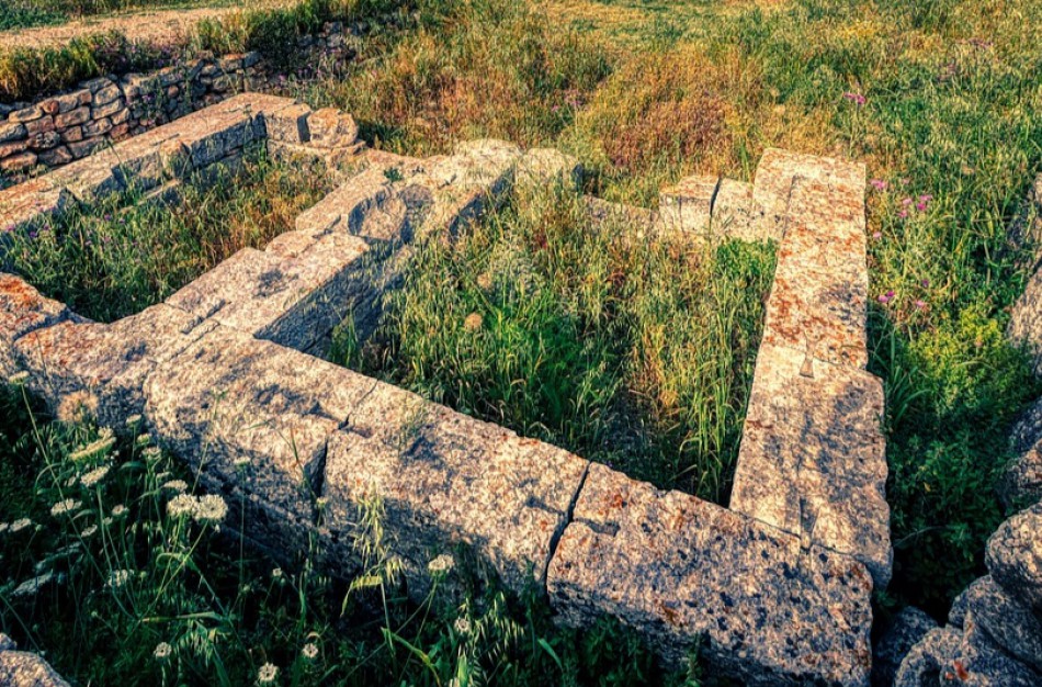 Jonavos rajone - kraupus radinys