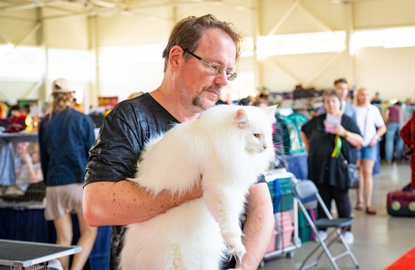 Tarptautinė kačių paroda sutraukė kelis šimtus įvairiausių veislių kačių