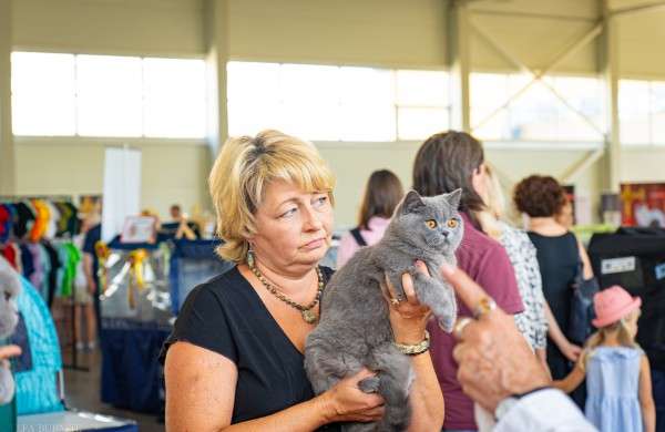 Tarptautinė kačių paroda sutraukė kelis šimtus įvairiausių veislių kačių