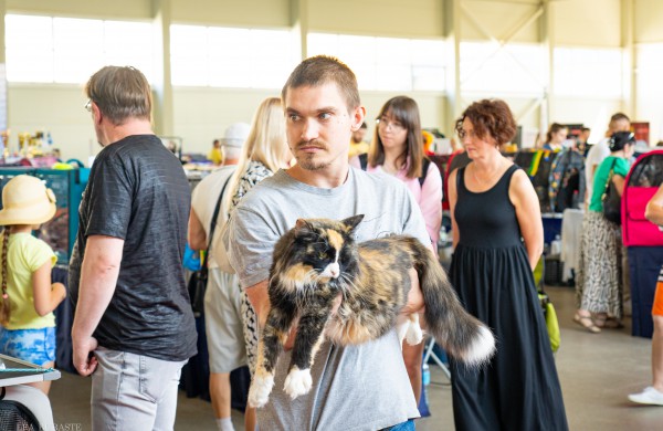 Tarptautinė kačių paroda sutraukė kelis šimtus įvairiausių veislių kačių