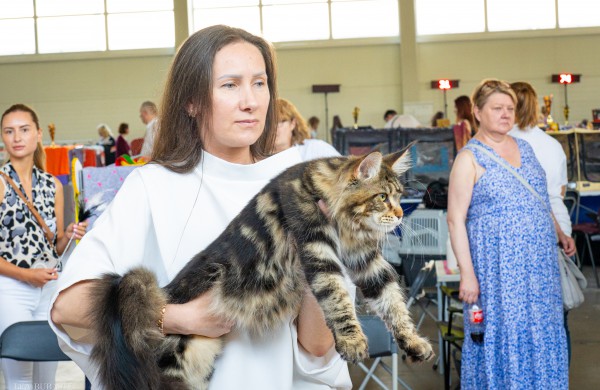 Tarptautinė kačių paroda sutraukė kelis šimtus įvairiausių veislių kačių